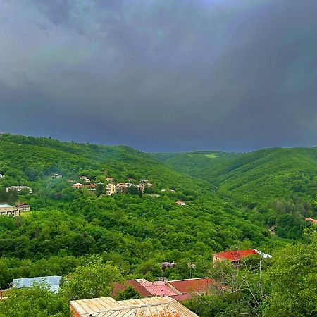 Hotel Vim In Сигнахи Екстериор снимка
